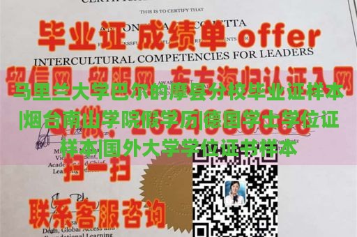 马里兰大学巴尔的摩县分校毕业证样本|烟台南山学院假学历|德国学士学位证样本|国外大学学位证书样本