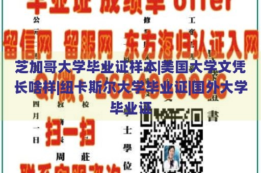 芝加哥大学毕业证样本|美国大学文凭长啥样|纽卡斯尔大学毕业证|国外大学毕业证