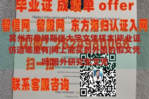 宾州布鲁姆斯堡大学文凭样本|毕业证仿造哪里有|网上能买到外国的假文凭吗|国外研究生文凭