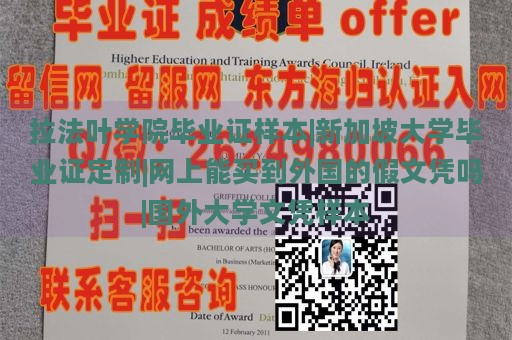 拉法叶学院毕业证样本|新加坡大学毕业证定制|网上能买到外国的假文凭吗|国外大学文凭样本