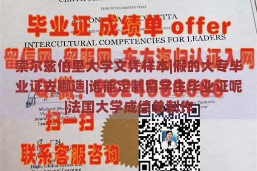 索尔兹伯里大学文凭样本|假的大专毕业证去哪造|谁能定制留学生毕业证呢|法国大学成绩单制作