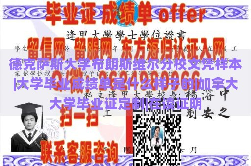 德克萨斯大学布朗斯维尔分校文凭样本|大学毕业成绩单是什么样子的|加拿大大学毕业证定制|在读证明