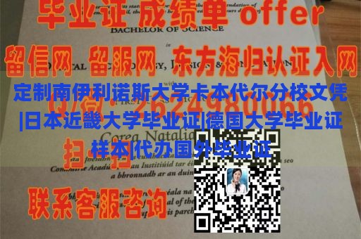 定制南伊利诺斯大学卡本代尔分校文凭|日本近畿大学毕业证|德国大学毕业证样本|代办国外毕业证