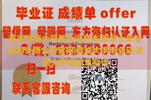 苏塞克斯大学毕业证样本|双学士毕业证国外博公司官网|雪城大学毕业证|法国大学成绩单制作