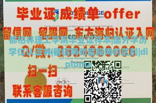 都柏林理工学院毕业证样本|国外学历学位认证书|留信网和留服网的区别|diploma