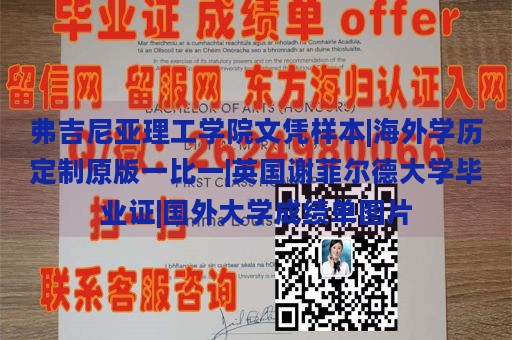 弗吉尼亚理工学院文凭样本|海外学历定制原版一比一|英国谢菲尔德大学毕业证|国外大学成绩单图片