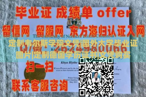 定制韦尔斯学院文凭|国外大学毕业证图片|定制德国学历证书|文凭购买