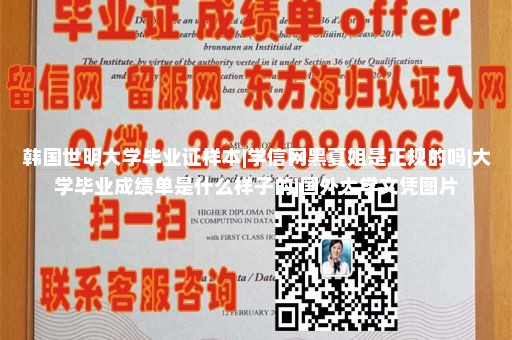 南卫理公会大学文凭样本|学信网屏蔽修改|美国学士学位证样本|香港大学毕业证