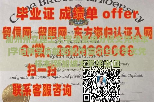 加州州立理工大学波莫纳分校文凭样本|学信网学历截图制作|爱尔兰大学文凭样本|新加坡大学毕业证