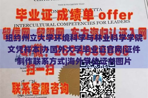 纽约州立大学环境科学与林业科学学院文凭样本|办国外大学毕业证官网|证件制作联系方式|海外学位证书图片