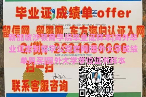 新加坡沙顿商学院毕业证样本|海外毕业证定制留学公司官网|国外大学成绩单购买|国外大学学位证书样本