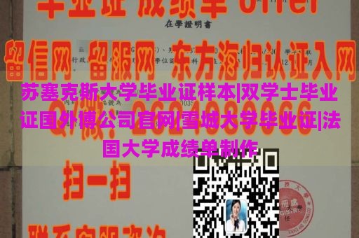 苏塞克斯大学毕业证样本|双学士毕业证国外博公司官网|雪城大学毕业证|法国大学成绩单制作