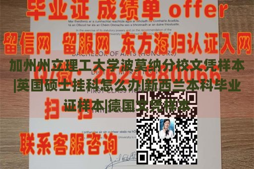 加州州立理工大学波莫纳分校文凭样本|英国硕士挂科怎么办|新西兰本科毕业证样本|德国文凭样本