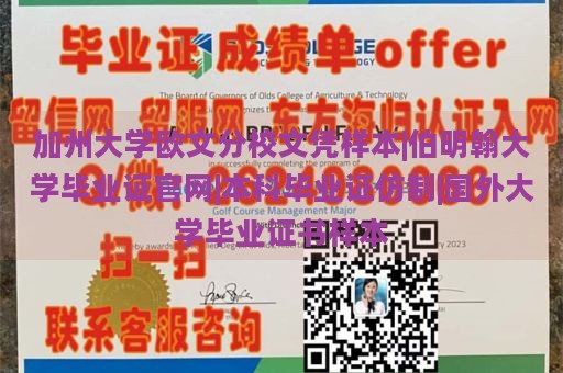 加州大学欧文分校文凭样本|伯明翰大学毕业证官网|本科毕业证仿制|国外大学毕业证书样本