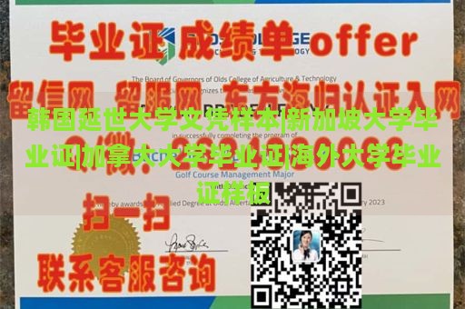 韩国延世大学文凭样本|新加坡大学毕业证|加拿大大学毕业证|海外大学毕业证样板