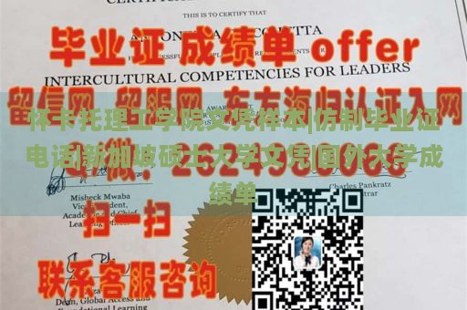 怀卡托理工学院文凭样本|仿制毕业证电话|新加坡硕士大学文凭|国外大学成绩单