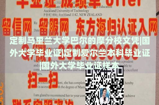 定制马里兰大学巴尔的摩分校文凭|国外大学毕业证|定制爱尔兰本科毕业证|国外大学毕业证样本