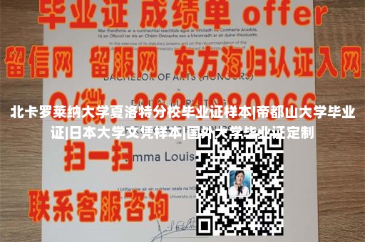 新加坡义安理工学院毕业证样本|阿尔图瓦大学毕业证|海外学历原版定制一比一|西班牙大学毕业证