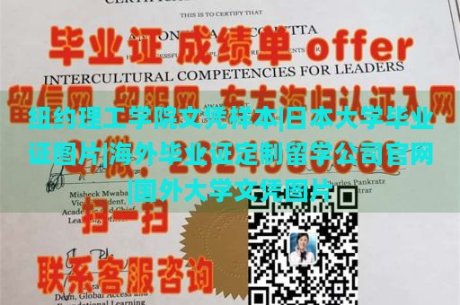 纽约理工学院文凭样本|日本大学毕业证图片|海外毕业证定制留学公司官网|国外大学文凭图片