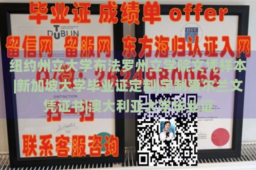 纽约州立大学布法罗州立学院文凭样本|新加坡大学毕业证定制|定制爱尔兰文凭证书|澳大利亚大学毕业证