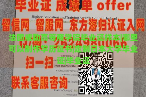 法国威勒高等商学院毕业证样本|哪里可以制作学历证书|定制日本大学毕业证|毕业证