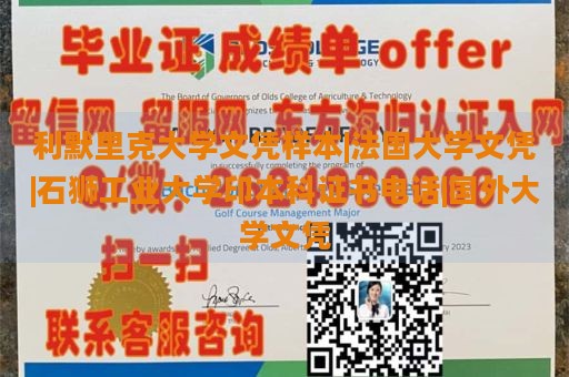 利默里克大学文凭样本|法国大学文凭|石狮工业大学印本科证书电话|国外大学文凭