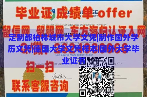 定制都柏林城市大学文凭|制作国外学历文凭|德国大学文凭样本|国外大学毕业证书