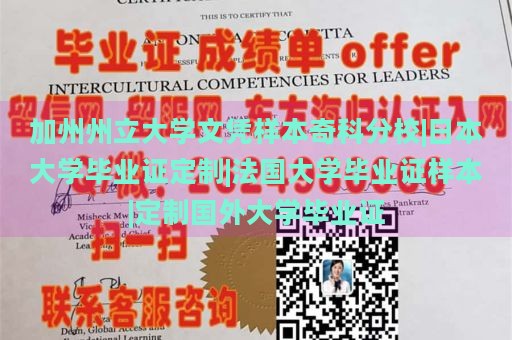 加州州立大学文凭样本奇科分校|日本大学毕业证定制|法国大学毕业证样本|定制国外大学毕业证