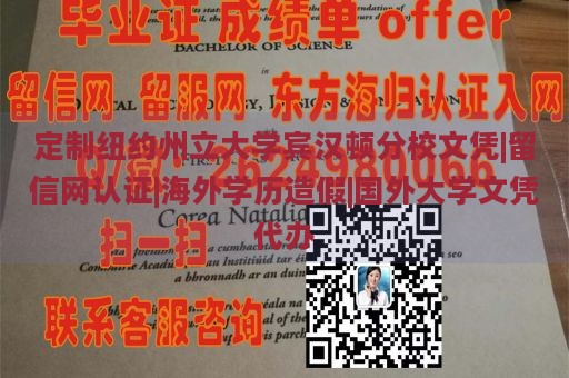 定制纽约州立大学宾汉顿分校文凭|留信网认证|海外学历造假|国外大学文凭代办