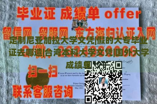 定制尼亚加拉大学文凭|假的大专毕业证去哪造|台湾本科大学文凭|国外大学成绩单