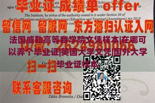 法国威勒高等商学院文凭样本|在哪可以弄个毕业证|英国大学文凭|国外大学毕业证样本