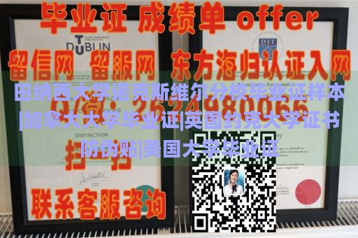 田纳西大学诺克斯维尔分校毕业证样本|加拿大大学毕业证|英国约克大学证书防伪贴|美国大学毕业证